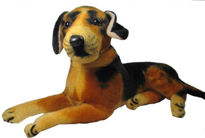 74% OFF on Dizionario MGHDOG - 8 Inch 74% OFF on Dizionario MGHDOG - 8 Inch