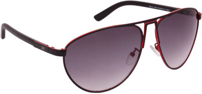 30% OFF on Killer Aviator Sunglasses 30% OFF on Killer Aviator Sunglasses