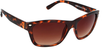 70% OFF on Concepts Wayfarer Sunglasses