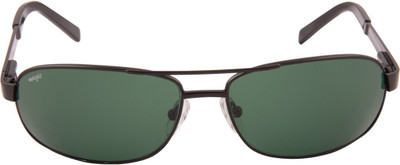 Magic Aviator Sunglasses