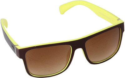 Davidson Wayfarer Sunglasses