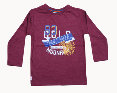 51% OFF on Sturdy Printed Boy's Round Neck T-Shirt