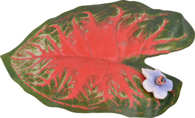 Potterybymanjarikanoi Oval Pack of 1 Table Placemat