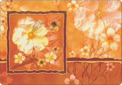 Freelance Rectangular Pack of 12 Table Placemat