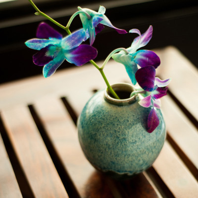 56% OFF on ExclusiveLane Studio Pottery Glazed Ceramic Round In Peacock Ceramic Vase