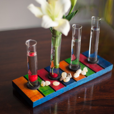 51% OFF on ExclusiveLane Quirky Test Tube Planter Wooden Vase 51% OFF on ExclusiveLane Quirky Test Tube Planter Wooden Vase