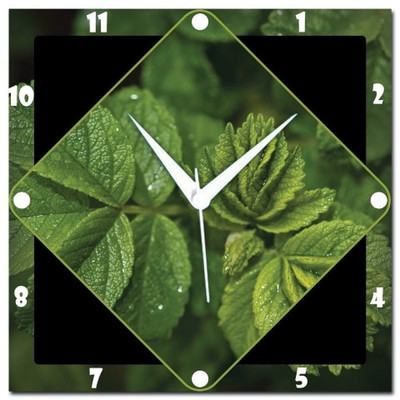 70% OFF on WebPlaza Mint Leaves Analog Wall Clock Multicolor 70% OFF on WebPlaza Mint Leaves Analog Wall Clock Multicolor