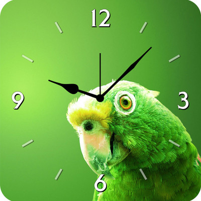 50% OFF on FurnishFantasy Parrot Analog Wall Clock Multicolor 50% OFF on FurnishFantasy Parrot Analog Wall Clock Multicolor