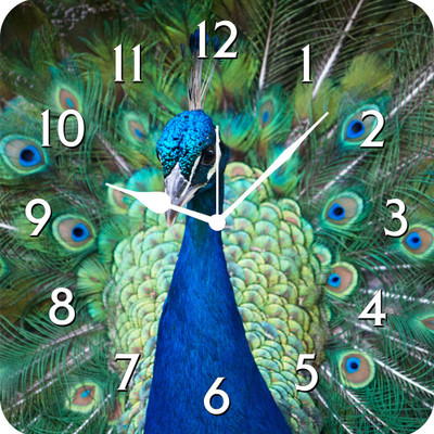 50% OFF on FurnishFantasy Peacock Analog Wall Clock Multicolor 50% OFF on FurnishFantasy Peacock Analog Wall Clock Multicolor
