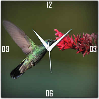 70% OFF on WebPlaza Hummingbird Analog Wall Clock Multicolor 70% OFF on WebPlaza Hummingbird Analog Wall Clock Multicolor