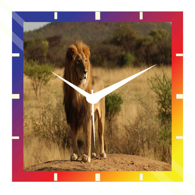 50% OFF on Moneysaver Lion Analog Wall Clock Multicolor 50% OFF on Moneysaver Lion Analog Wall Clock Multicolor