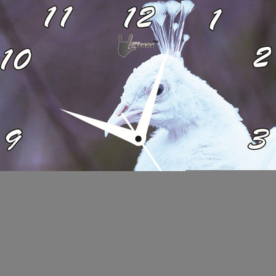61% OFF on Lycans White Peacock Analog Wall Clock White, Grey 61% OFF on Lycans White Peacock Analog Wall Clock White, Grey
