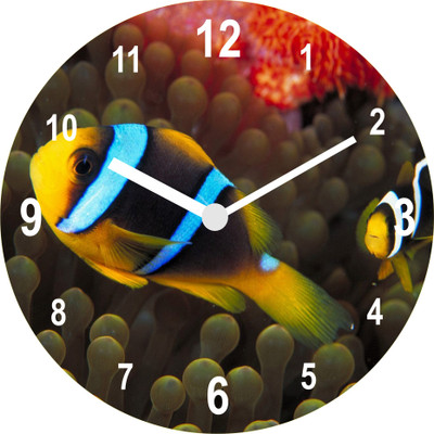 37% OFF on Onatto Fish On Wall. Analog Wall Clock Multicolor 37% OFF on Onatto Fish On Wall. Analog Wall Clock Multicolor