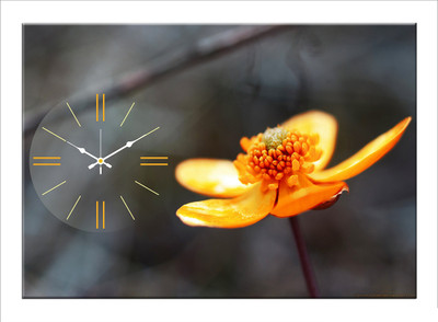 50% OFF on Design O Vista Single Panel - DV1-L-R4143 Analog Wall Clock Multicolor