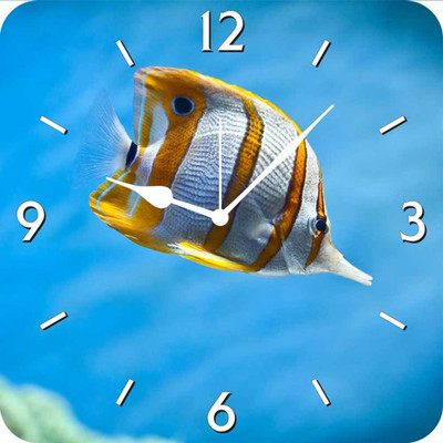 50% OFF on FurnishFantasy Butterfly Fish Analog Wall Clock Multicolor 50% OFF on FurnishFantasy Butterfly Fish Analog Wall Clock Multicolor
