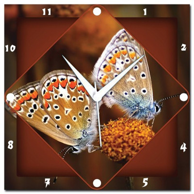 72% OFF on Amore Two Butterflies Analog Wall Clock Multicolor 72% OFF on Amore Two Butterflies Analog Wall Clock Multicolor