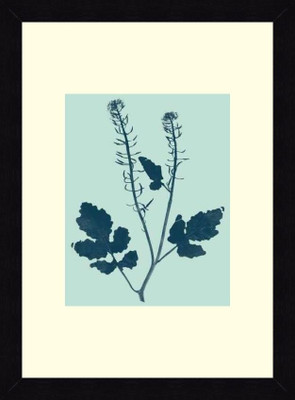 19% OFF on ART4U Indigo and Mint Botanical Study I - Framed Print 16 inch x 22 inch 22 inch X inch 16, Multicolor