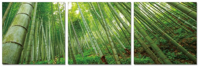 50% OFF on Go Hooked 3 Panel Wall Decor 50% OFF on Go Hooked 3 Panel Wall Decor