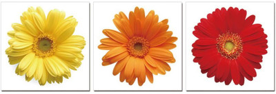 50% OFF on Go Hooked Yellow And Red Mdf 3 Panel Wallpaper 50% OFF on Go Hooked Yellow And Red Mdf 3 Panel Wallpaper