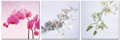 50% OFF on Go Hooked White And Pink Mdf 3 Panel Wallpaper