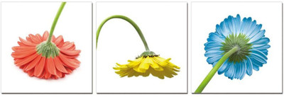 50% OFF on Go Hooked Orange And Yellow Mdf 3 Panel Wallpaper