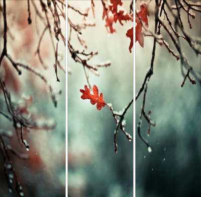 50% OFF on Go Hooked Brown And Red Mdf 3 Panel Wallpaper 50% OFF on Go Hooked Brown And Red Mdf 3 Panel Wallpaper