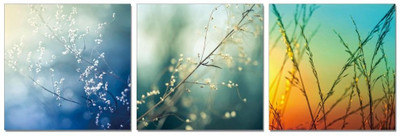 50% OFF on Go Hooked 3 Panel Wall Decor