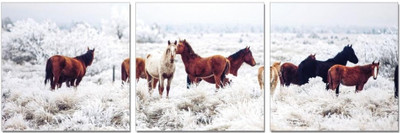 50% OFF on Go Hooked 3 Panel Wall Decor 50% OFF on Go Hooked 3 Panel Wall Decor