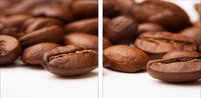 Go Hooked Brown And White Mdf 2 Panel Wallpaper