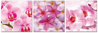 50% OFF on Go Hooked White And Pink Mdf 3 Panel Wallpaper