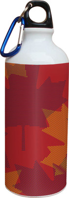 55% OFF on Tiedribbons Dark Colorfull Leaf Pattern 600 ml Water Bottle